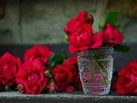 安徽杰盼电子商务有限公司