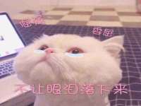 安徽杰盼电子商务有限公司