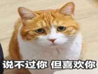 安徽杰盼电子商务有限公司
