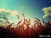 安徽杰盼电子商务有限公司