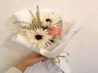 安徽杰盼电子商务有限公司