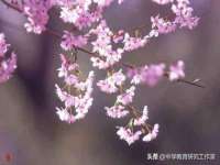 安徽杰盼电子商务有限公司