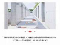 安徽杰盼电子商务有限公司