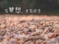 安徽杰盼电子商务有限公司