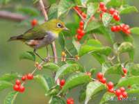 安徽杰盼电子商务有限公司