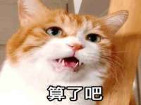 安徽杰盼电子商务有限公司