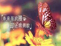 安徽杰盼电子商务有限公司