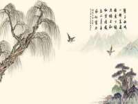 安徽杰盼电子商务有限公司
