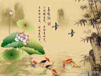 安徽杰盼电子商务有限公司