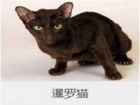 安徽杰盼电子商务有限公司