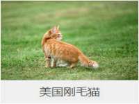 安徽杰盼电子商务有限公司