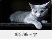 安徽杰盼电子商务有限公司