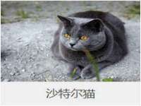 安徽杰盼电子商务有限公司
