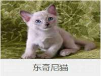 安徽杰盼电子商务有限公司