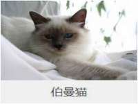 安徽杰盼电子商务有限公司