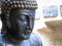 安徽杰盼电子商务有限公司