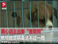 安徽杰盼电子商务有限公司