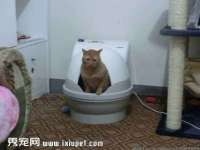 安徽杰盼电子商务有限公司