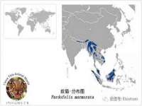 安徽杰盼电子商务有限公司