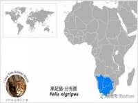 安徽杰盼电子商务有限公司