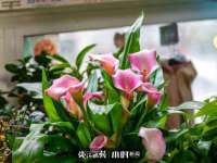 安徽杰盼电子商务有限公司
