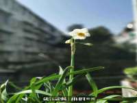 安徽杰盼电子商务有限公司