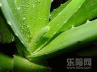 安徽杰盼电子商务有限公司