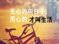 安徽杰盼电子商务有限公司