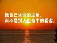 安徽杰盼电子商务有限公司