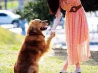 安徽杰盼电子商务有限公司
