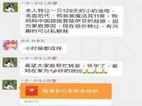 安徽杰盼电子商务有限公司