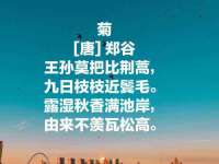安徽杰盼电子商务有限公司