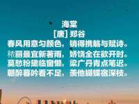 安徽杰盼电子商务有限公司