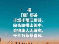 安徽杰盼电子商务有限公司