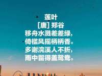 安徽杰盼电子商务有限公司