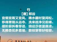 安徽杰盼电子商务有限公司