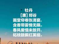 安徽杰盼电子商务有限公司
