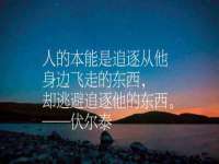 安徽杰盼电子商务有限公司