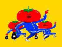 安徽杰盼电子商务有限公司