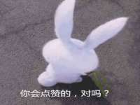 安徽杰盼电子商务有限公司