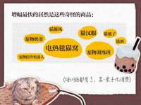 安徽杰盼电子商务有限公司