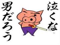 安徽杰盼电子商务有限公司