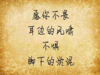 安徽杰盼电子商务有限公司