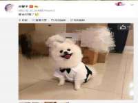 安徽杰盼电子商务有限公司