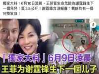 安徽杰盼电子商务有限公司