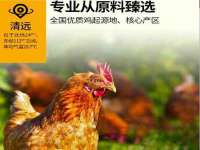 安徽杰盼电子商务有限公司