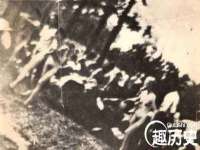 安徽杰盼电子商务有限公司