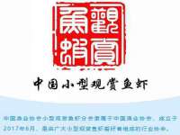 安徽杰盼电子商务有限公司