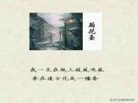 安徽杰盼电子商务有限公司