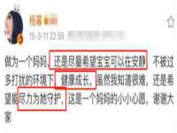 安徽杰盼电子商务有限公司